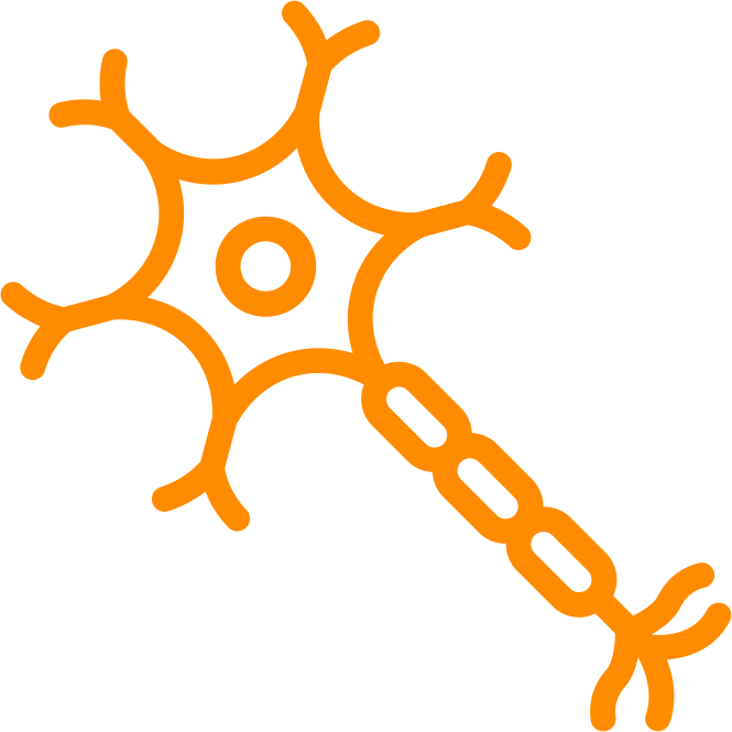 Autonomic nervous system therapy